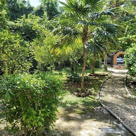 Mini Pini Bird Watching And Cenote Loft Villa Cozumel Luaran gambar