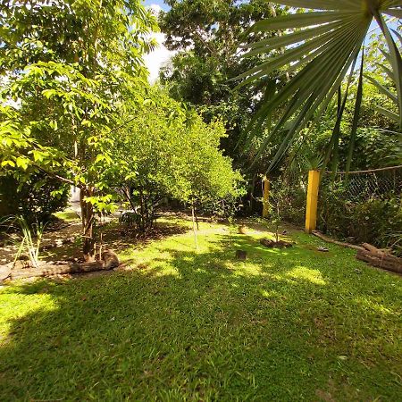Mini Pini Bird Watching And Cenote Loft Villa Cozumel Luaran gambar