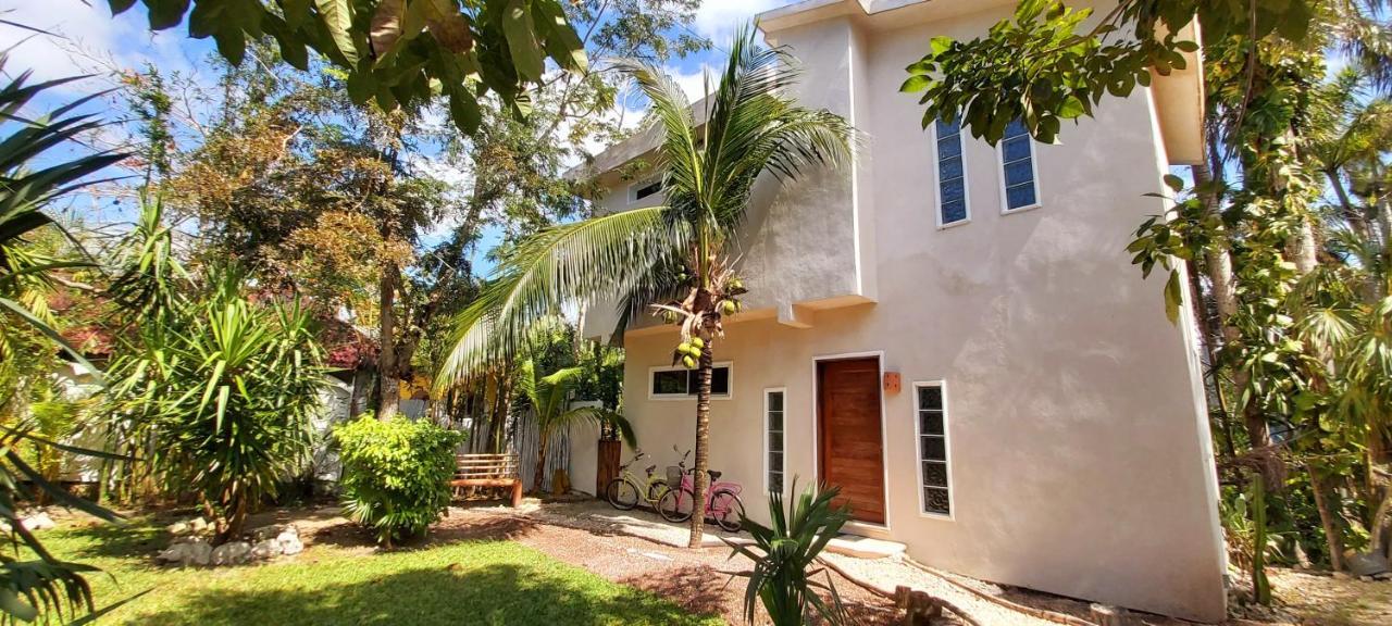 Mini Pini Bird Watching And Cenote Loft Villa Cozumel Luaran gambar