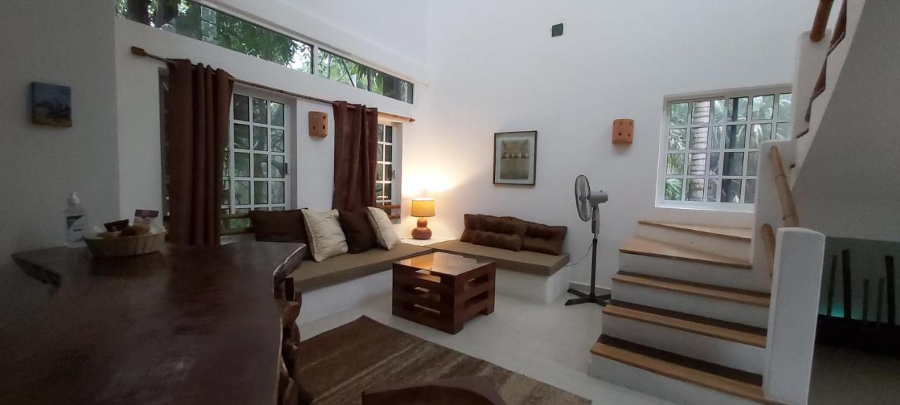 Mini Pini Bird Watching And Cenote Loft Villa Cozumel Luaran gambar