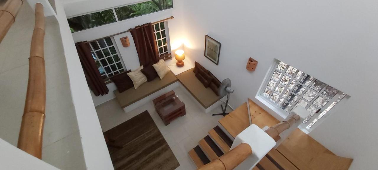 Mini Pini Bird Watching And Cenote Loft Villa Cozumel Luaran gambar