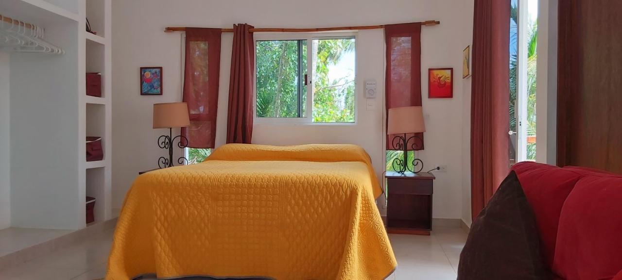 Mini Pini Bird Watching And Cenote Loft Villa Cozumel Luaran gambar