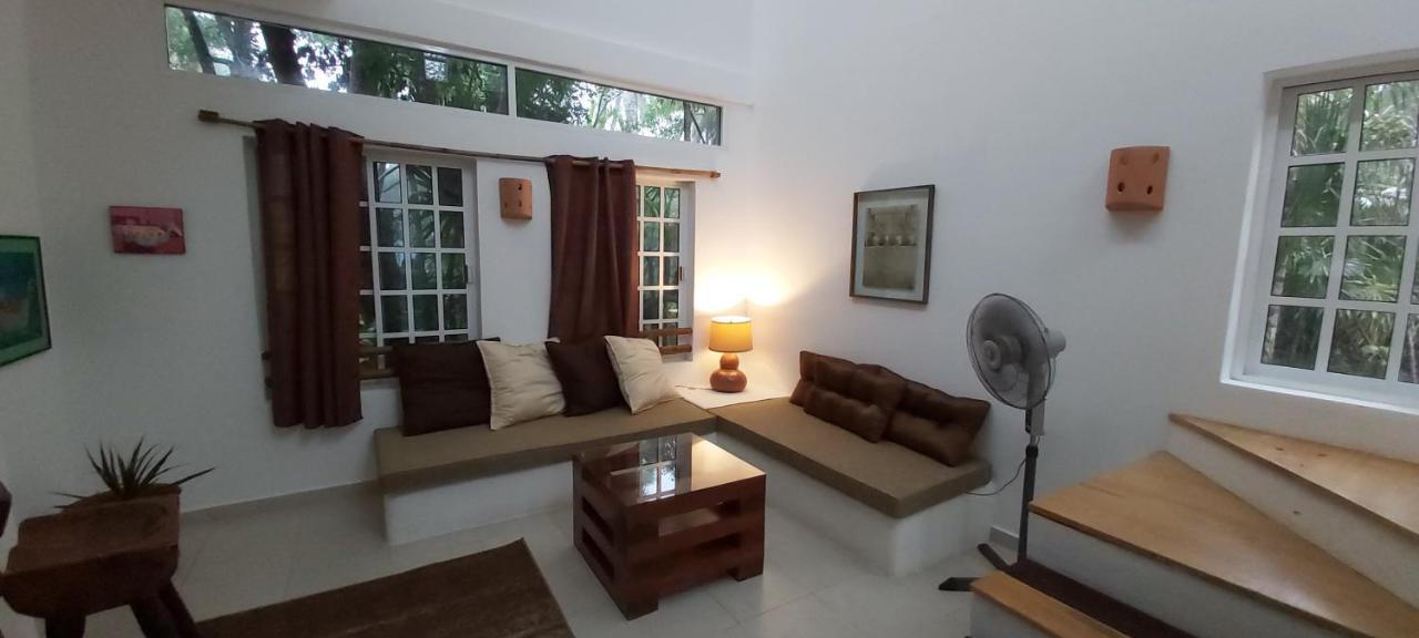 Mini Pini Bird Watching And Cenote Loft Villa Cozumel Luaran gambar