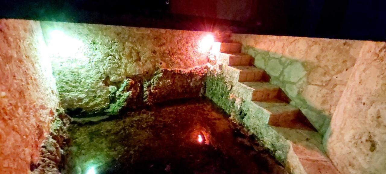 Mini Pini Bird Watching And Cenote Loft Villa Cozumel Luaran gambar
