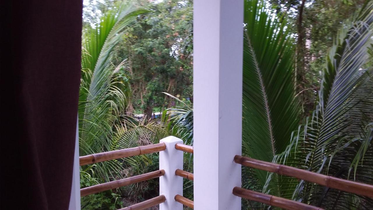 Mini Pini Bird Watching And Cenote Loft Villa Cozumel Luaran gambar