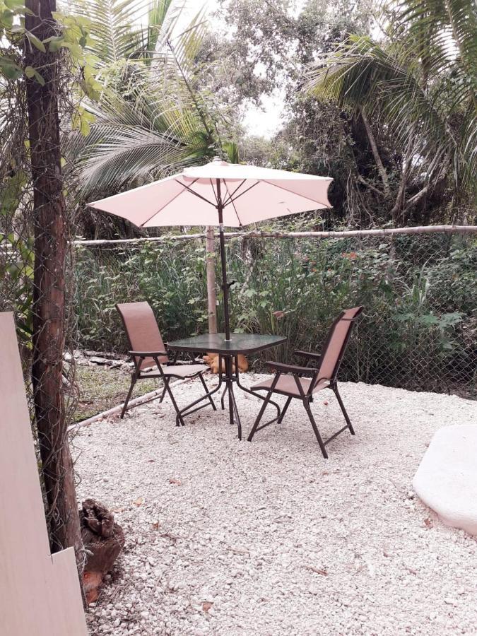 Mini Pini Bird Watching And Cenote Loft Villa Cozumel Luaran gambar