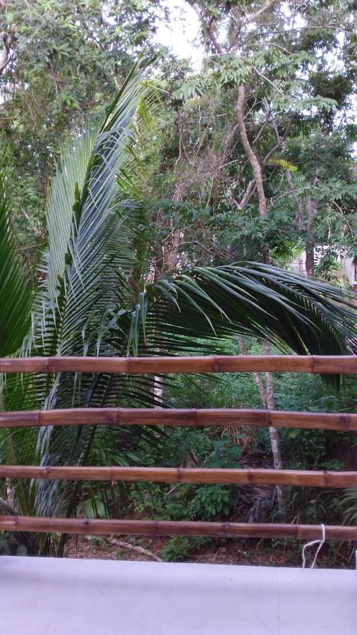 Mini Pini Bird Watching And Cenote Loft Villa Cozumel Luaran gambar