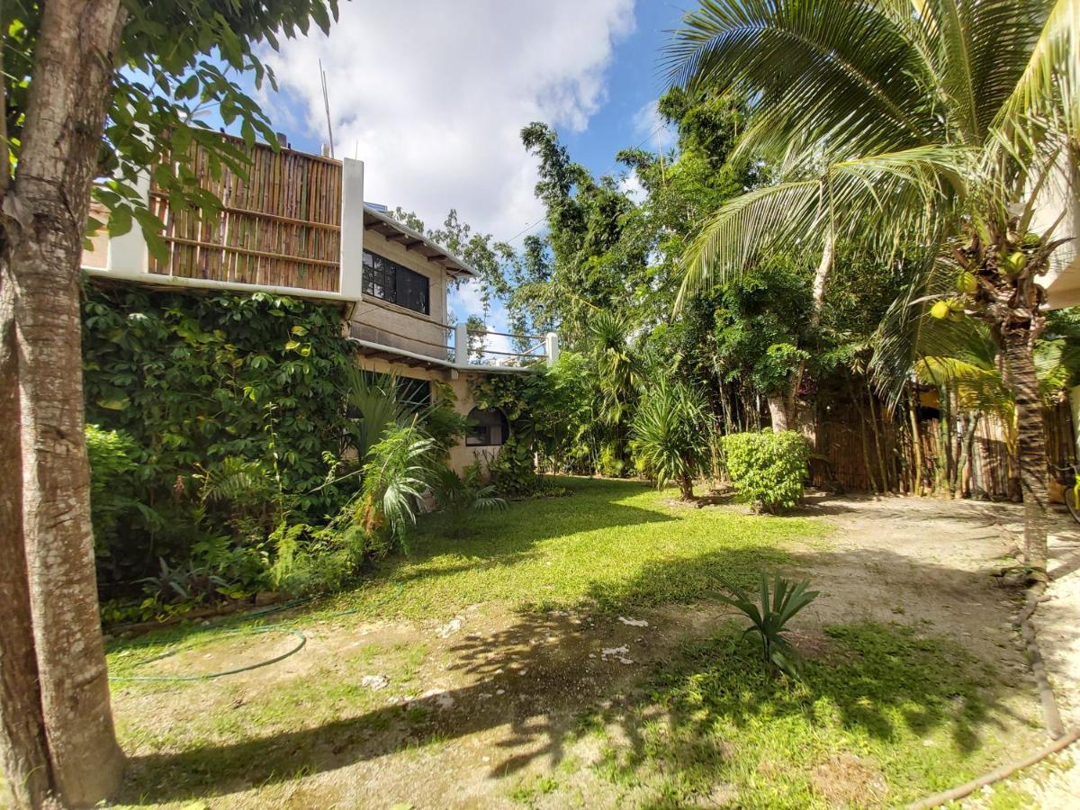 Mini Pini Bird Watching And Cenote Loft Villa Cozumel Luaran gambar