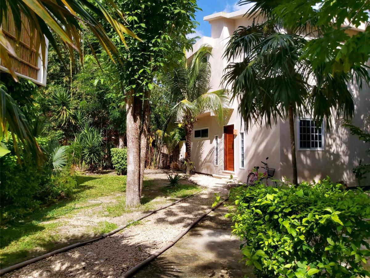 Mini Pini Bird Watching And Cenote Loft Villa Cozumel Luaran gambar