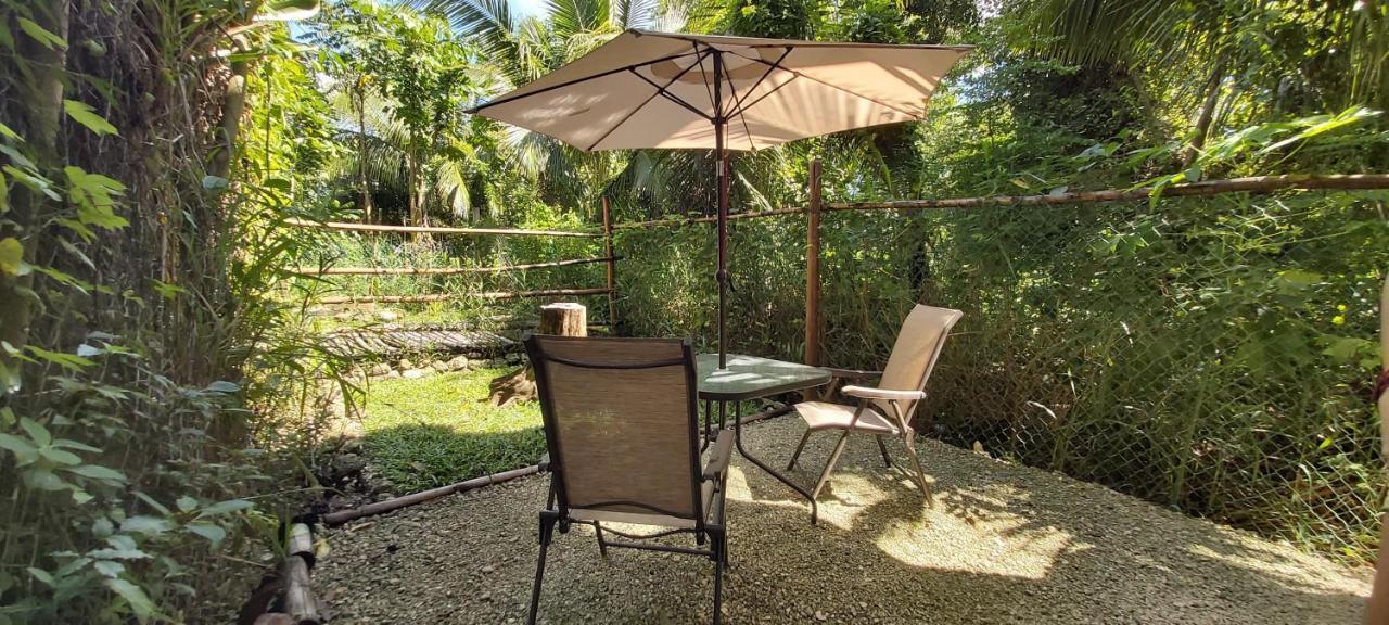 Mini Pini Bird Watching And Cenote Loft Villa Cozumel Luaran gambar