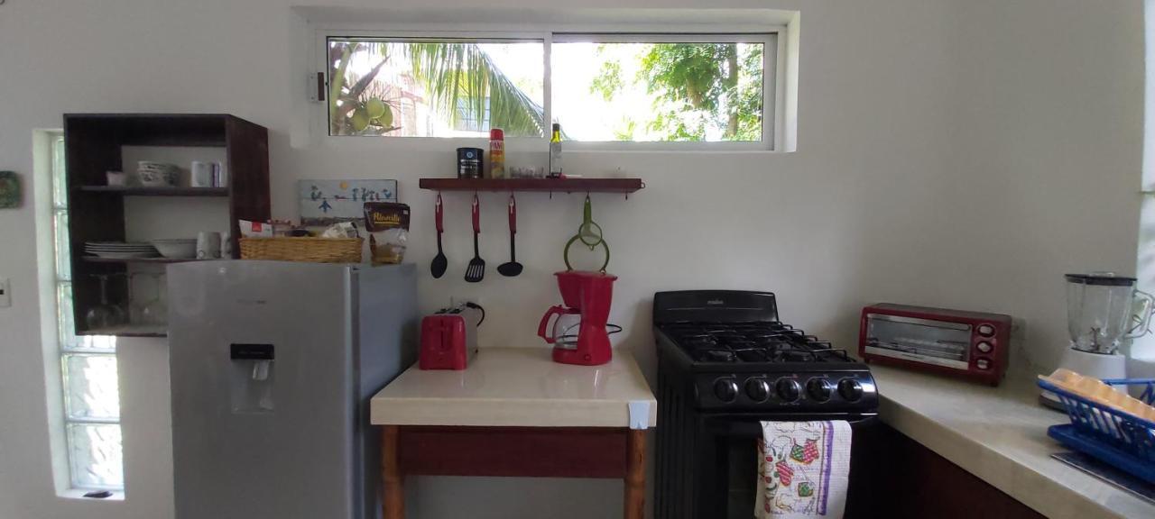 Mini Pini Bird Watching And Cenote Loft Villa Cozumel Luaran gambar