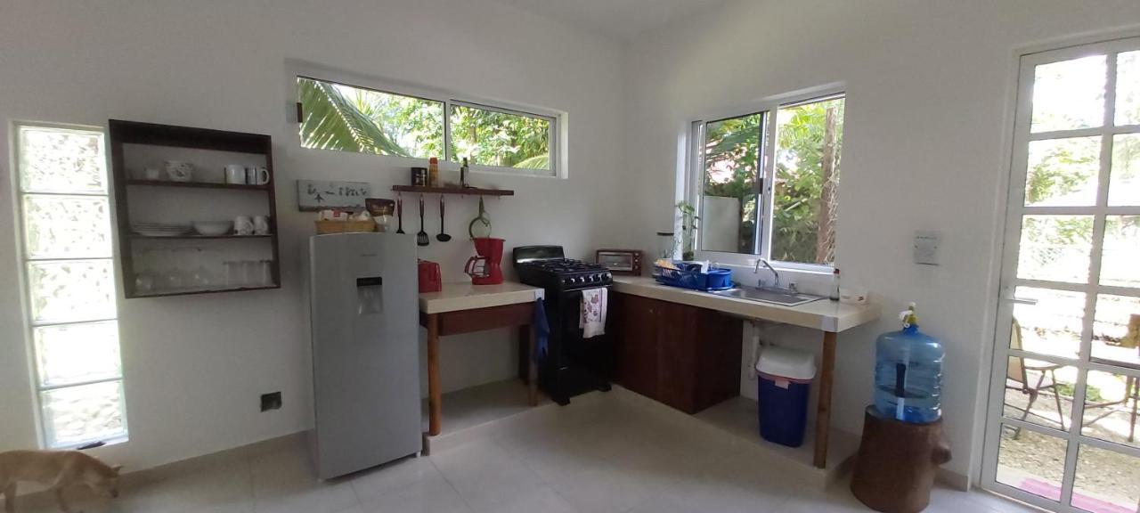 Mini Pini Bird Watching And Cenote Loft Villa Cozumel Luaran gambar