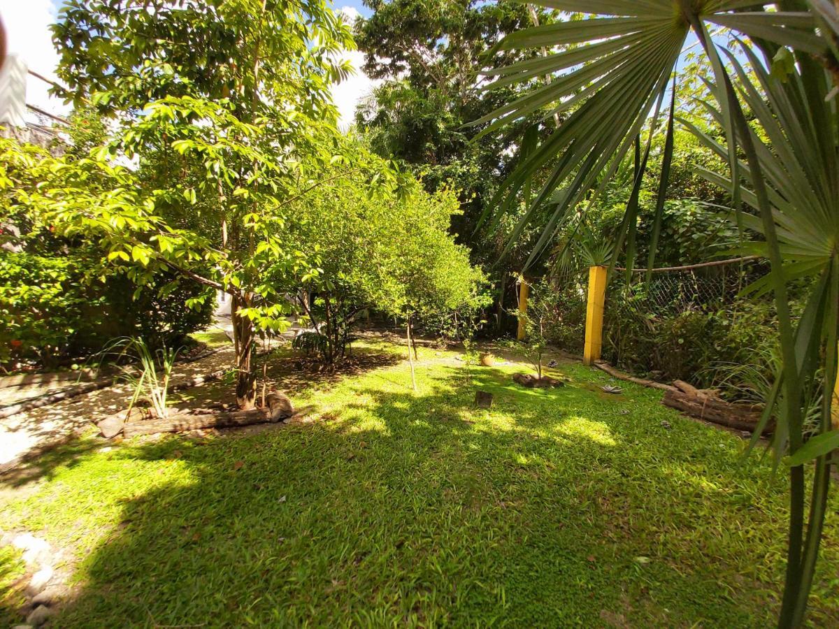 Mini Pini Bird Watching And Cenote Loft Villa Cozumel Luaran gambar