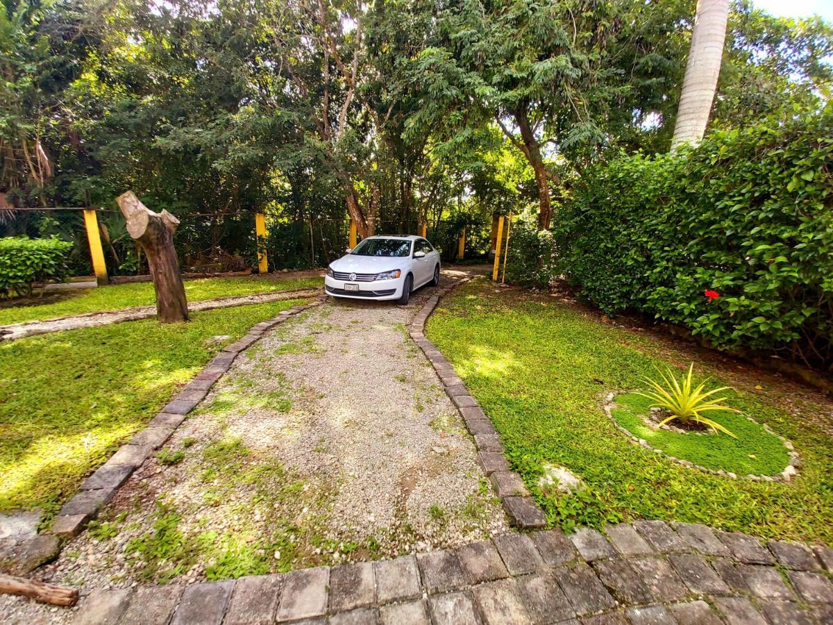 Mini Pini Bird Watching And Cenote Loft Villa Cozumel Luaran gambar